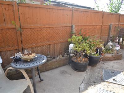 Picture 12